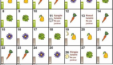 Jardiner avec la lune : calendrier de février, mars et avril 2016