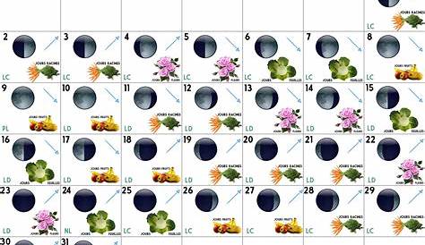 Semis Calendrier Jardinage - Mon Blog Jardinage