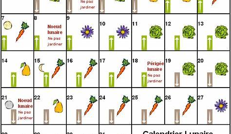 calendrier lunaire potager