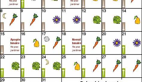 Calendrier Lunaire Pour Jardiner Avec La Lune Juillet 2024 - calendrier