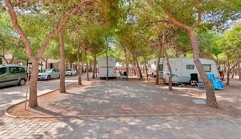 Aire camping-car Valencia Camper Park - Bétera - Vayacamping