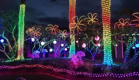 Candy Cane Lane Christmas Lights Coomera In Upper ’s Forest