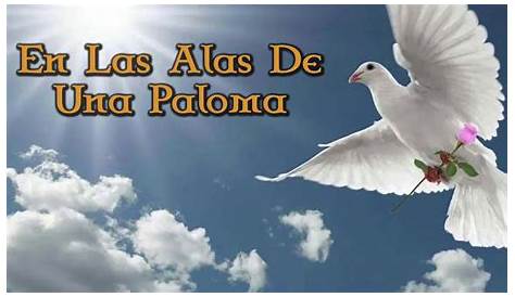 Alas de Paloma - YouTube