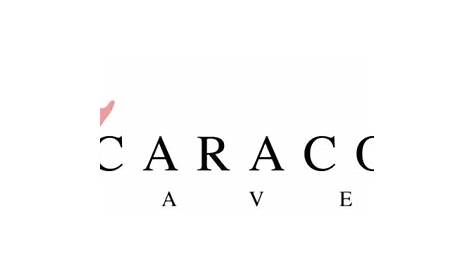 Caracol Travel | tviajes.com