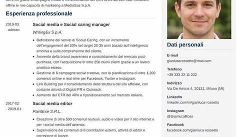 Esempio di Curriculum Vitae Professionale | ilCVPerfetto