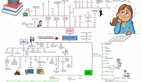 Career Option After 12 Pcb 15 s th For Science Medical Students