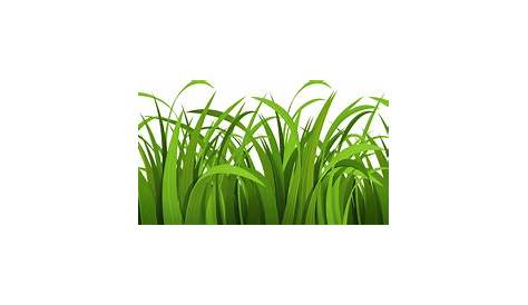 Grass Background Clipart - ClipArt Best