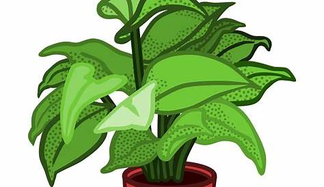 Cartoon Pot Plant Png Clipart - Full Size Clipart (#5290258) - PinClipart