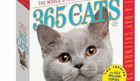 ﻿Download Free: 2020 Cat-A-Day Wall Calendar PDF - Books Online