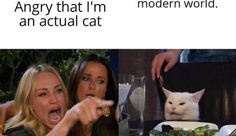 Woman yells at cat - mirrored Blank Template - Imgflip