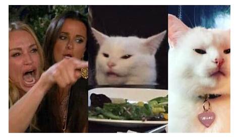 White Cat Screaming Meme - werohmedia