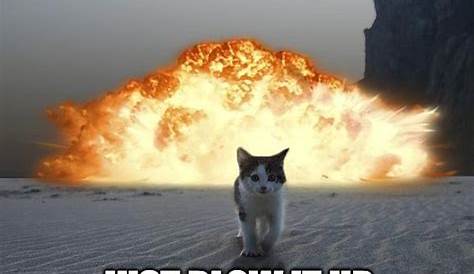 She's gonna blow! Daily Pictures, Funny Cat Pictures, Cat Pics, Funny