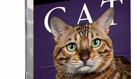 Funny Cat Calendar 2023 - Customize and Print