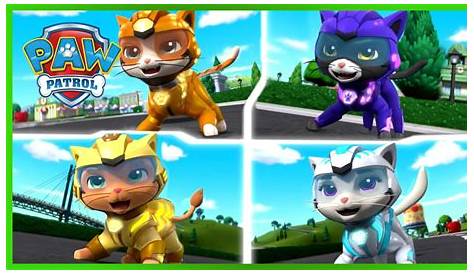 Paw Patrol New Rescue kitten - YouTube