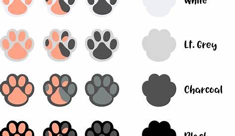 Why are cat paw pads different colors? - Stray H.E.L.P.
