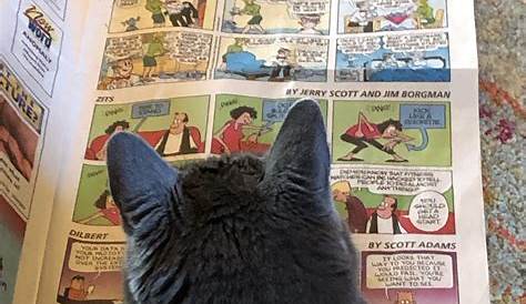 Image tagged in tom cat reading a newspaper Imgflip