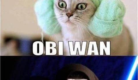 Star wars | Cats, Funny animal pictures, Cat memes