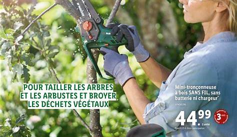 Catalogue Lidl Outillage Parkside Perceusevisseuse Sans Fil PARKSIDE Le 22.06.2020