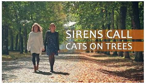 Cats And Trees Sirens Call On 2014 CD Discogs
