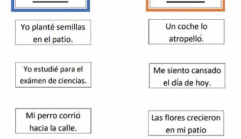 Causa y Efecto - BUNDLE (4 PAGES) by Learning Aligned | TpT
