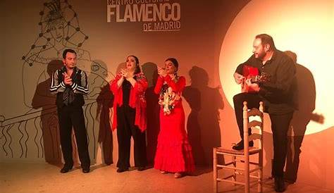 CENTRO CULTURAL FLAMENCO DE MADRID - Aprende Madrid