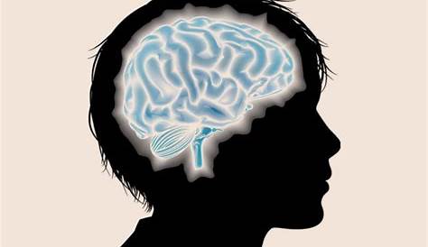 El impacto del alcohol en los procesos cognitivo del cerebro