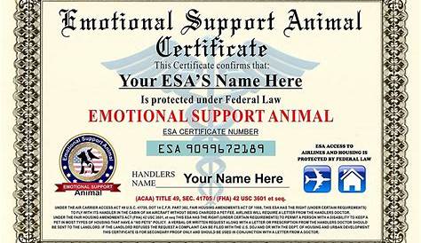 Certificate Printable Free Emotional Support Animal Letter Pdf
