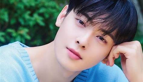 Cha Eun Woo's Net Worth: Uncover The Secrets Of His Financial Success