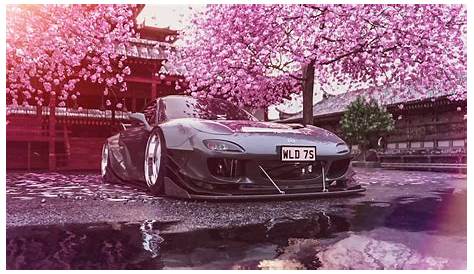 cherry blossom gif - Pesquisa Google | images | Pinterest | Cherries
