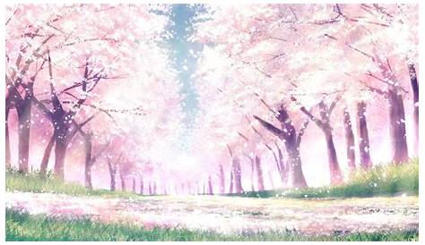 Cherry Blossom Anime Wallpapers - Wallpaper Cave