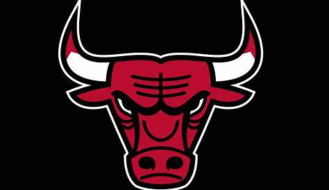 Logo of Chicago Bulls 1 - Media file | PixelsTalk.Net