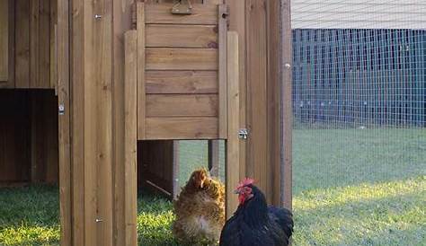 Chicken Guard Door Manual