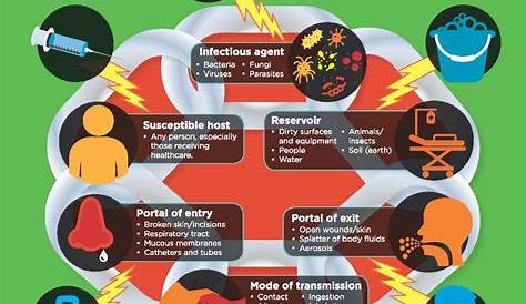 chain of infection poster Google Search Chain of infection