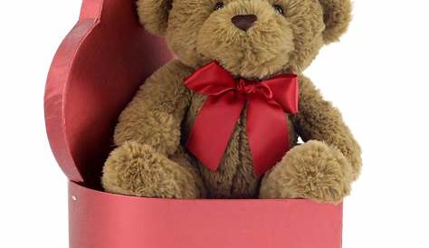"Heated" chocolate scented Teddy Bear with pull out insert. | Teddy