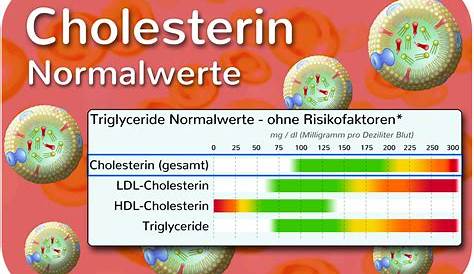 HDL-Cholesterin-Werte - Normalwerte - Niedrige & Erhöhte Werte