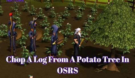 Potato Tree OSRS How To Find It? ETran
