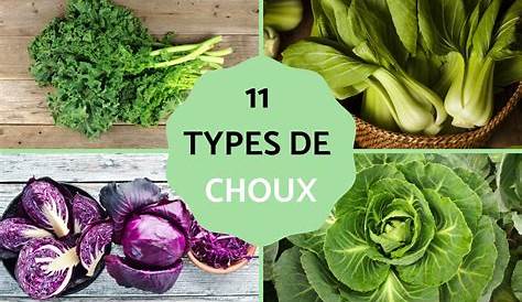 Les astuces de Cyril Lignac pour cuisiner le chou vert avec des