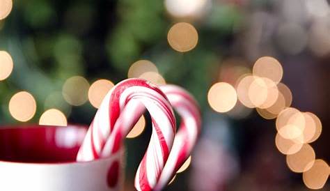 Christmas Candy Cane Recipe