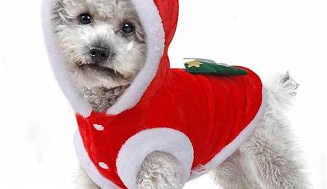 Christmas Clothes For Dog