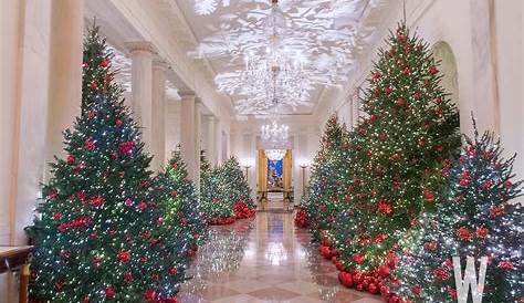 Christmas Decorations White House