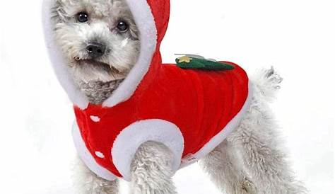 SmileyUS Santa Elk Dog Costume Christmas Pet Hoodie Coat