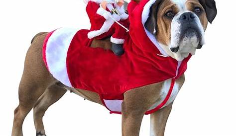 Christmas Dog Costumes For Sale