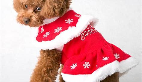 Christmas Dresses For Dogs Small