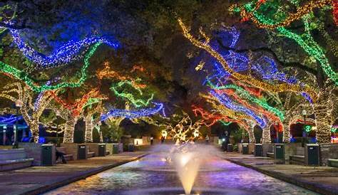 Christmas Lights Houston