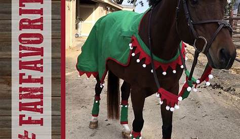 Christmas Outfit For Horse