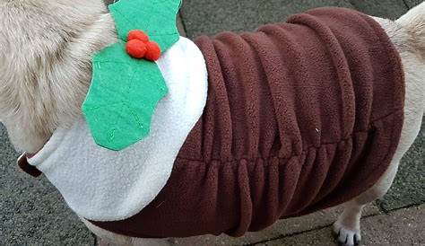 Christmas Pudding Dog Costume