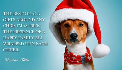 Christmas Quote Dog