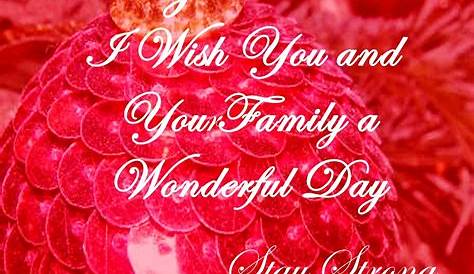20 Merry Christmas Quotes 2014 PicsHunger