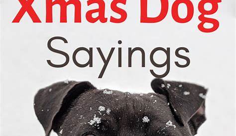 Christmas Quotes With Dogs 22 Cute & Clever For Your Dog Dog
