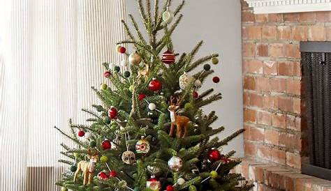 Christmas Tree Ideas Small